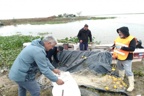 La provincia continúa con el monitoreo científico de peces en lagunas de la zona aluvial del río Paraná
