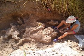 El Museo Serrano invita a un conversatorio sobre el hallazgo paleontológico en el arroyo Espinillo